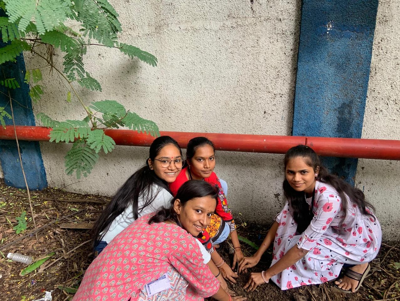 Tree Plantation1