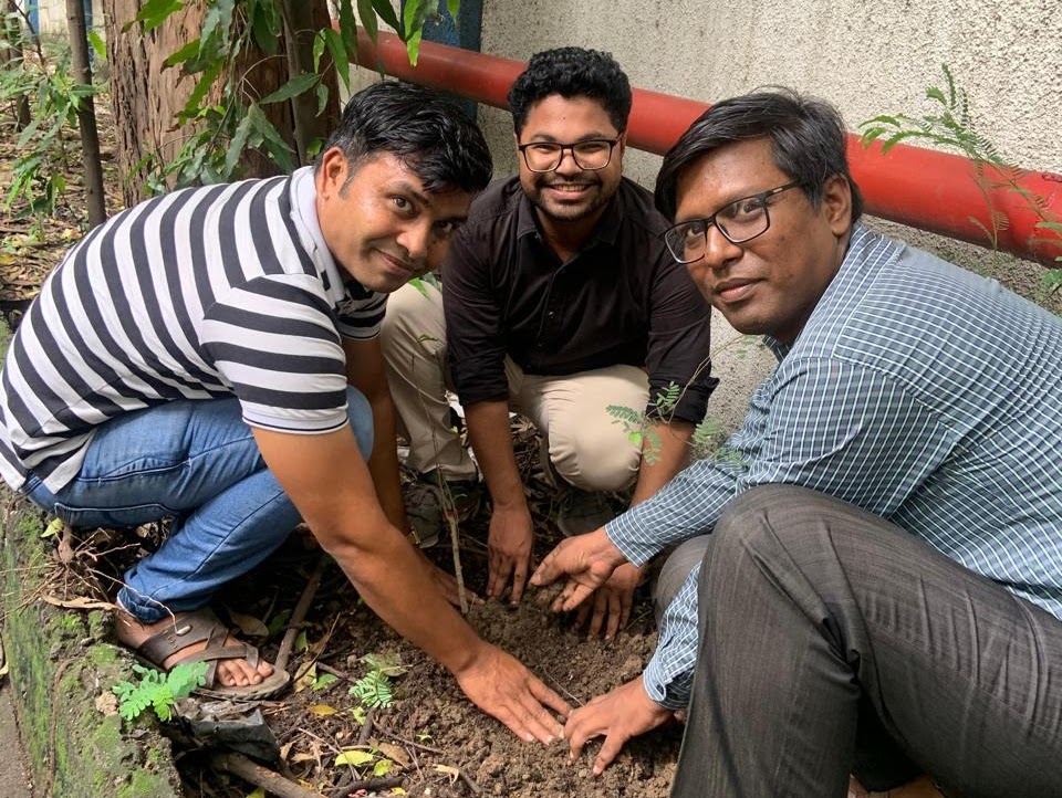 Tree Plantation2