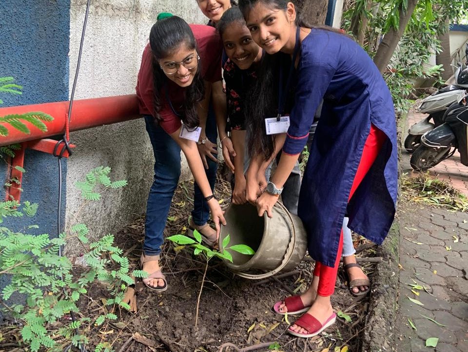 Tree Plantation4