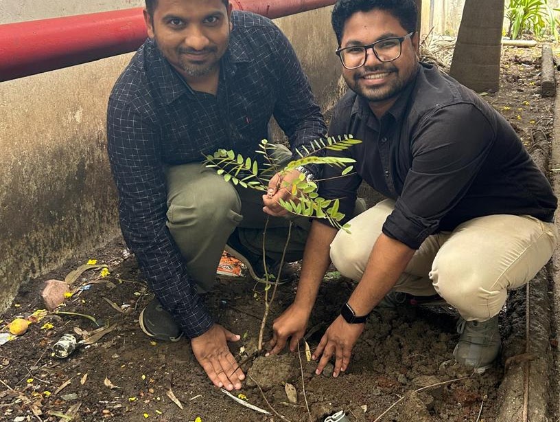 Tree Plantation5