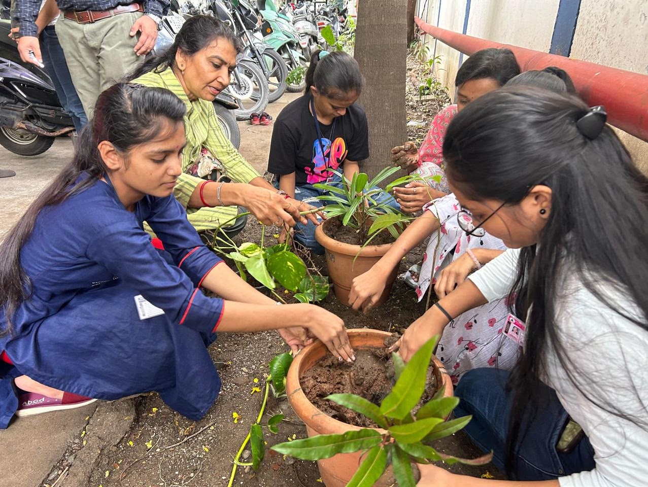 Tree Plantation6